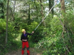 Seghetto Professionale Su Asta Telescopica In Alluminio Silky Hayauchi 2400 -Cura Del Giardino seghetto professionale su asta telescopica in alluminio silky hayauchi 2400 seghetto professionale su asta telescopica in alluminio silky hayauchi 2400 27732 1 1616590251 IMG 605b35ab72c16