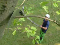 Seghetto Professionale Su Asta Telescopica In Alluminio Silky Hayauchi 2400 -Cura Del Giardino seghetto professionale su asta telescopica in alluminio silky hayauchi 2400 seghetto professionale su asta telescopica in alluminio silky hayauchi 2400 27732 1 1616590251 IMG 605b35ab7521f