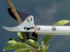 Stocker Art. 508 - Forbice Da Potatura Su Asta Telescopica 130-200 Cm - Ø 10 Mm - Orientabile -Cura Del Giardino stocker art 508 forbice da potatura su asta telescopica 130 200 cm 10 mm orientabile forbice su asta telescopica orientabile 130 200 cm stocker art 508 15425 0 1548229652 zz