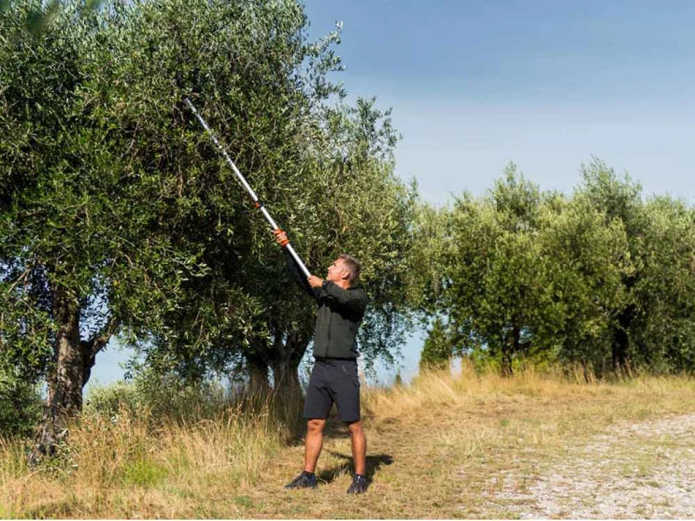 Stocker Art. 606 - Forbicione Da Potatura Telescopico Professionale - Asta 170/280 Cm - Ø 35mm 13 Stocker Art. 606 - Forbicione Da Potatura Telescopico Professionale - Asta 170/280 Cm - Ø 35mm - immagine 13