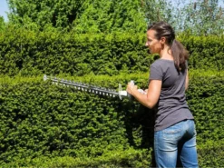 Tagliasiepi Elettrico A Batteria IKRA IAHS 20-1 Agli Ioni Di Litio - Lunghezza Barra 54 Cm -Cura Del Giardino tagliasiepi elettrico a batteria ikra iahs 20 1 agli ioni di litio lunghezza barra 54 cm tagliasiepi elettrico a batteria ikra iahs 20 1 18235 1 1570091107 81mkbKEcRQL