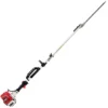 Tagliasiepi Su Asta Di Prolunga A Scoppio 2 Tempi GeoTech GT-2 33 L - 33 Cc