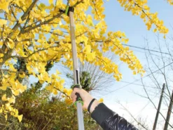 Verdemax - Forbicione Da Potatura Manuale - Asta Fissa 150cm - Ø 25 Mm 12 Verdemax - Forbicione Da Potatura Manuale - Asta Fissa 150cm - Ø 25 Mm -Cura Del Giardino verdemax forbicione da potatura manuale asta fissa 150cm 25 mm forbicione manuale verdemax su asta fissa 29766 1 1623248006 IMG 60c0cc86792b3