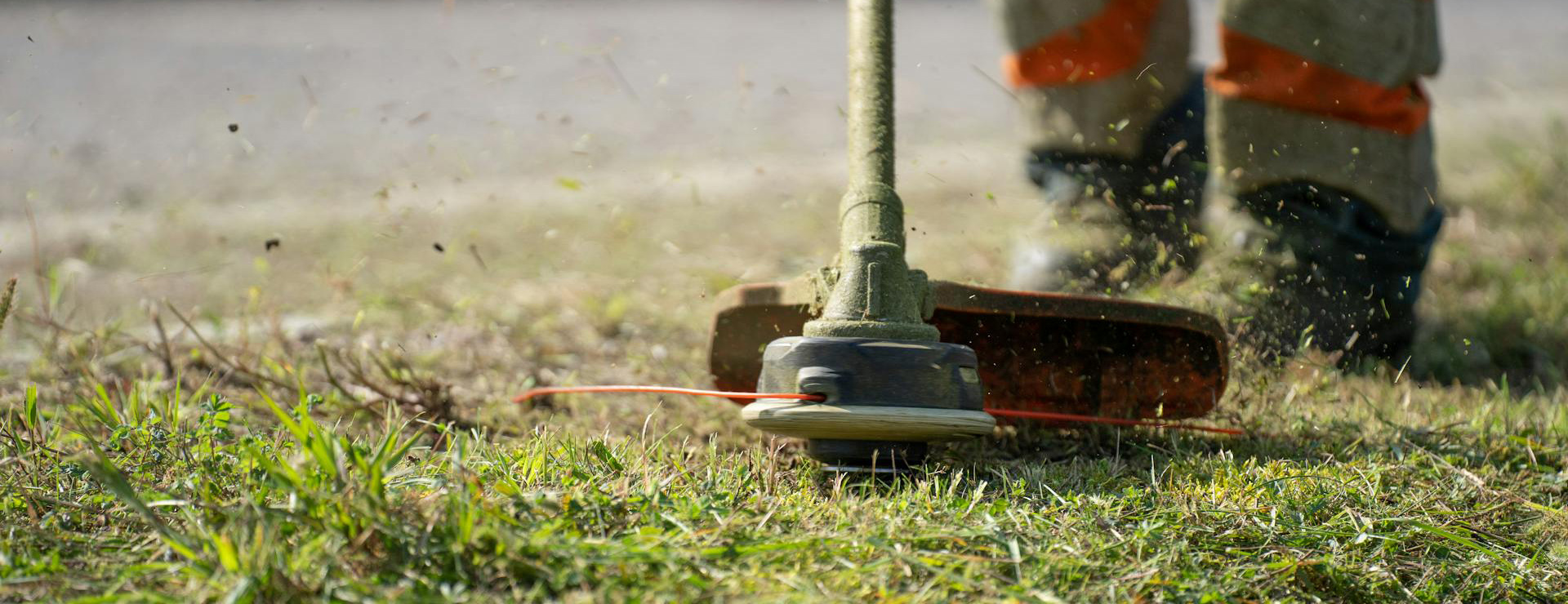 Cura Del Giardino 1 Cura Del Giardino -Cura Del Giardino pexels pascal kuffer 190126462 11400235