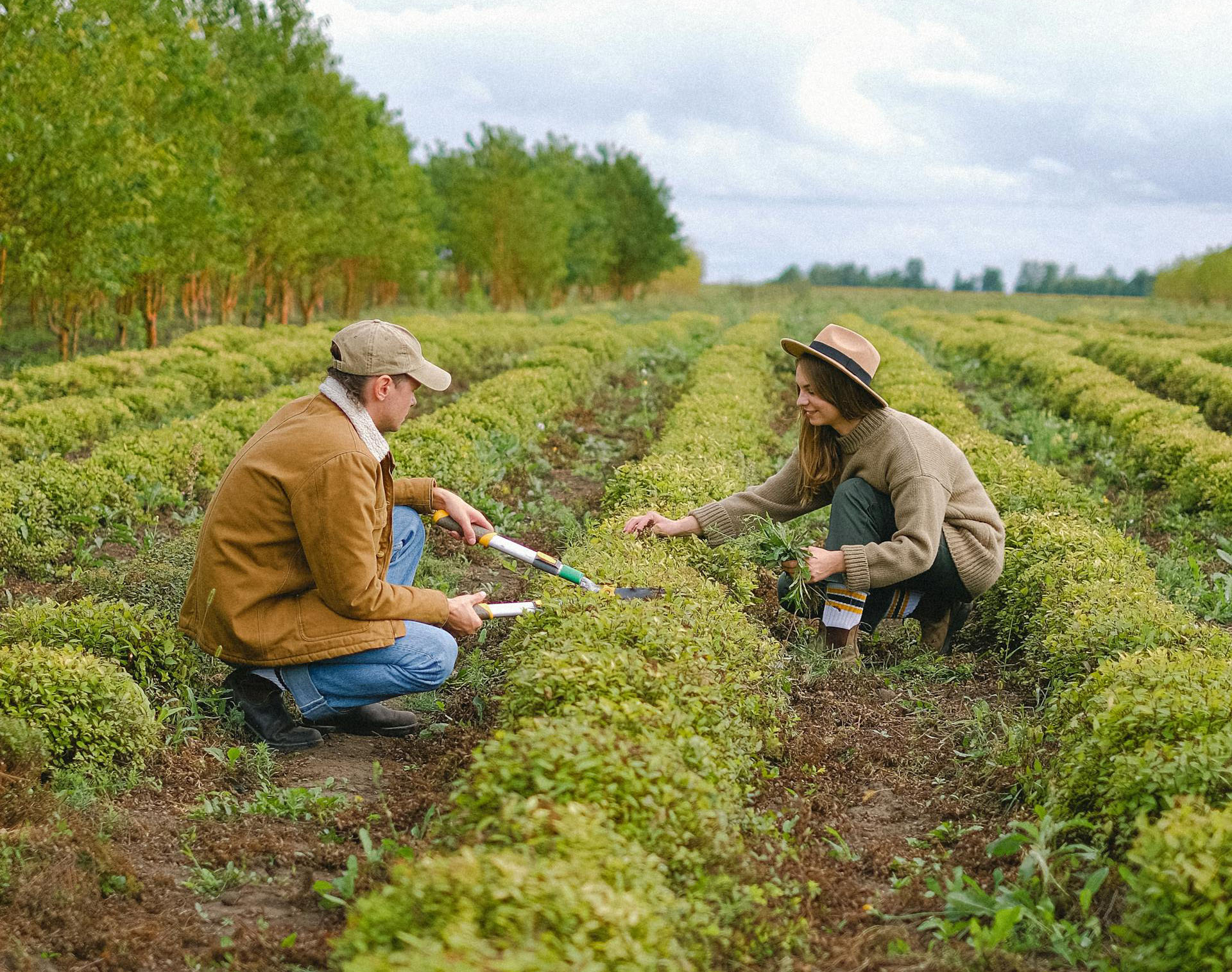 Cura Del Giardino 3 Cura Del Giardino -Cura Del Giardino pexels shvetsa 5231143